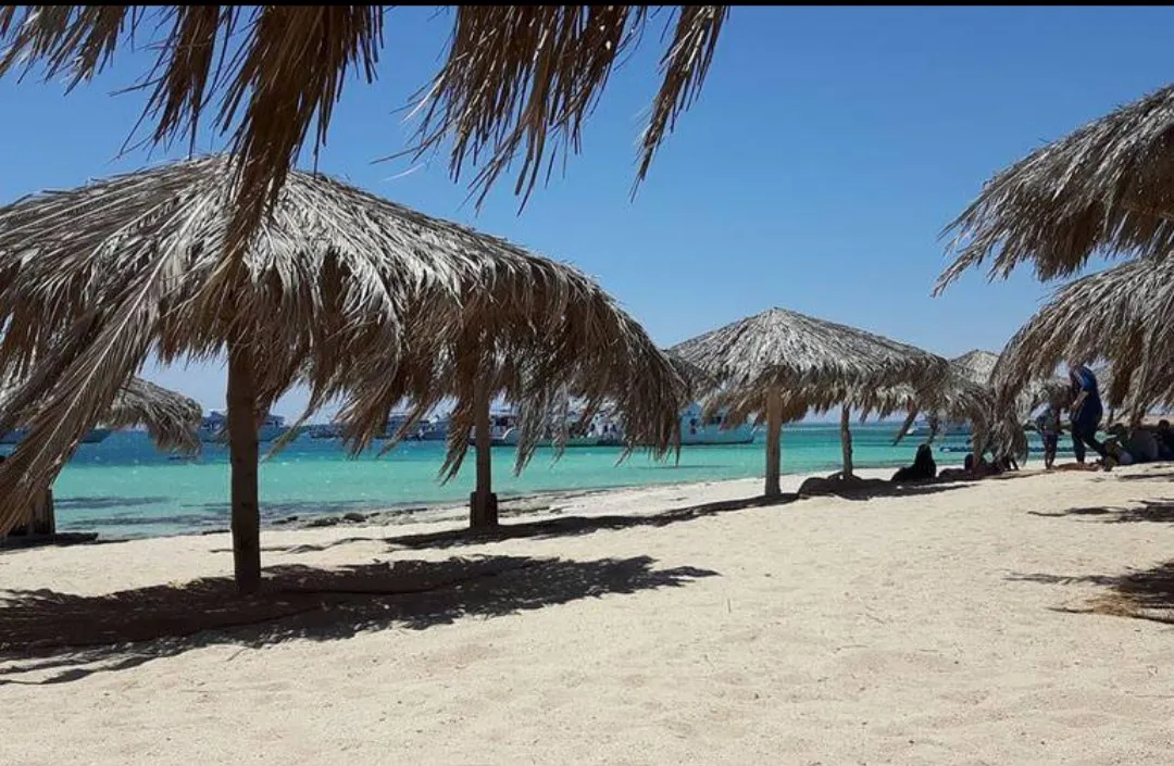 🌴✨ Paradise Island Trip from El Gouna 🏝️🌊 Paradise-trip-island/Screenshot_٢٠٢٦٠٧٠٢_١٩٥١٢٢_ChatGPT.jpg