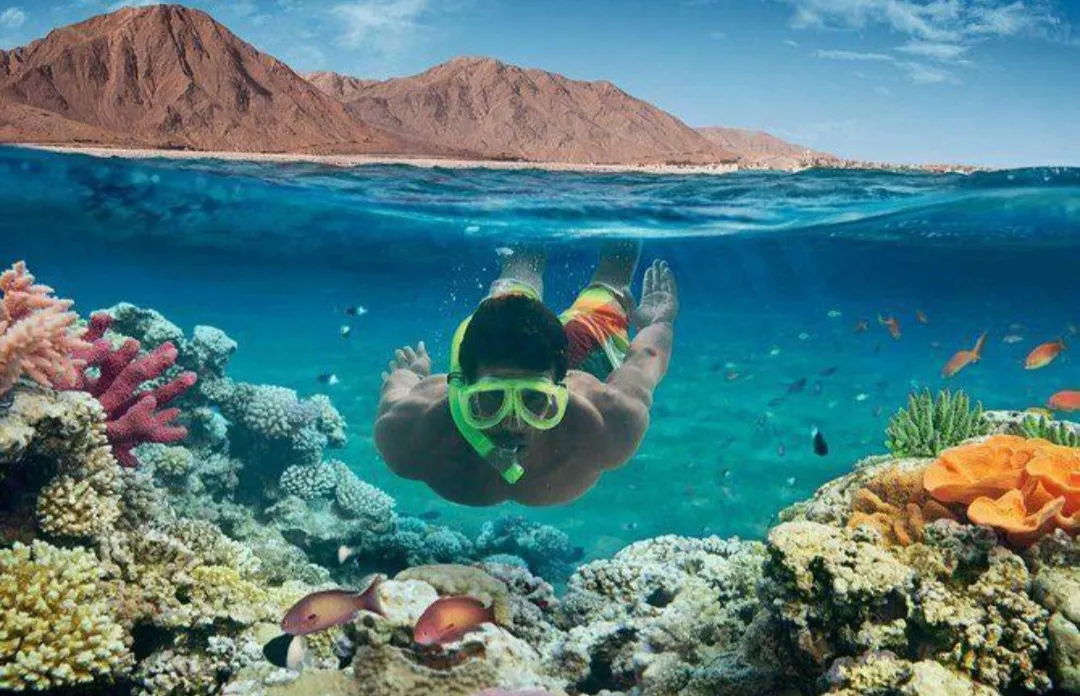 🌴✨ Paradise Island Trip from El Gouna 🏝️🌊 Paradise-trip-island/Screenshot_٢٠٢٦٠٧٠٢_١٩٥١٢٥_ChatGPT.jpg