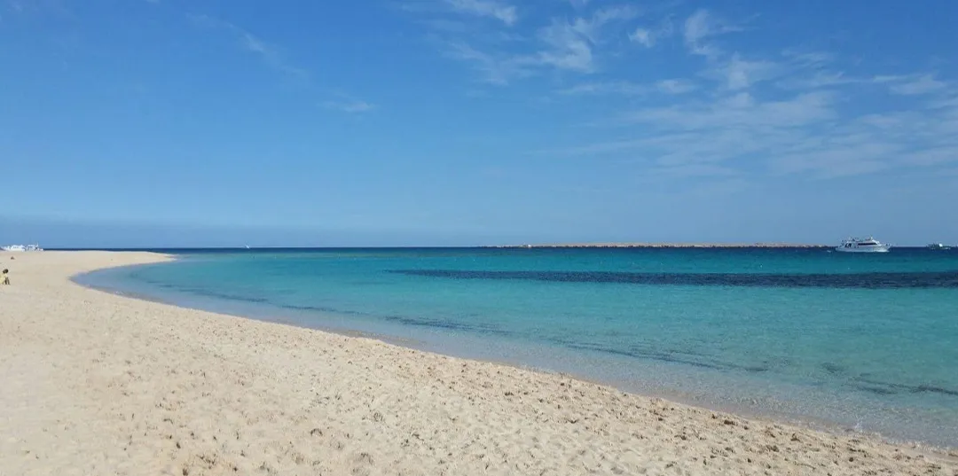 🌴✨ Paradise Island Trip from El Gouna 🏝️🌊 Paradise-trip-island/Screenshot_٢٠٢٦٠٧٠٢_١٩٥١٣١_ChatGPT.jpg