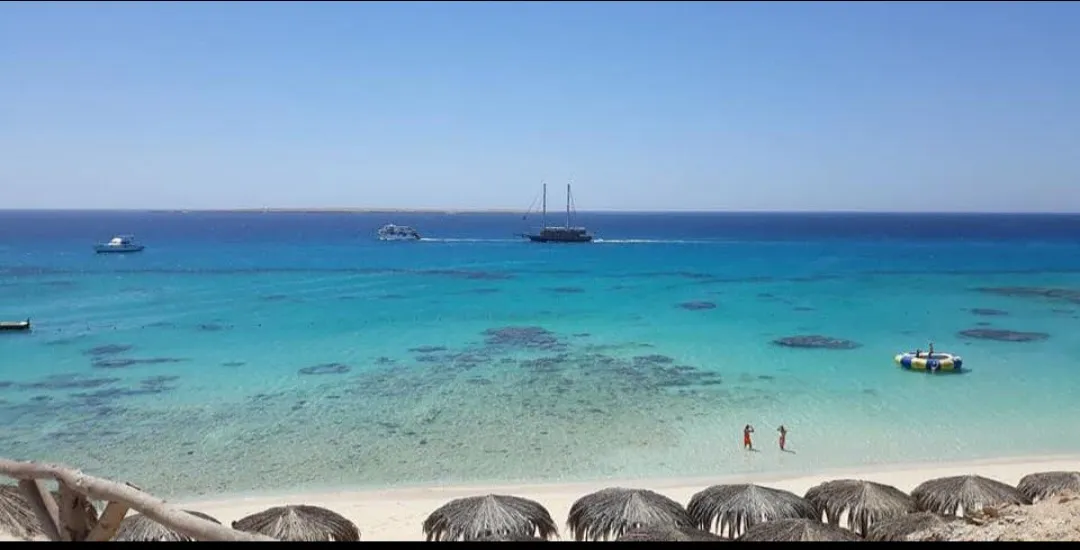 🌴✨ Paradise Island Trip from El Gouna 🏝️🌊 Paradise-trip-island/Screenshot_٢٠٢٦٠٧٠٢_١٩٥١٣٣_ChatGPT.jpg