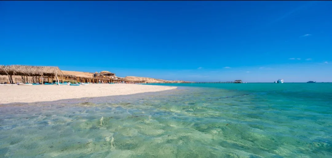 🌴✨ Paradise Island Trip from El Gouna 🏝️🌊 Paradise-trip-island/Screenshot_٢٠٢٦٠٧٠٢_١٩٥١٣٦_ChatGPT.jpg