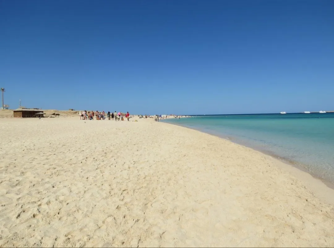 🌴✨ Paradise Island Trip from El Gouna 🏝️🌊 Paradise-trip-island/Screenshot_٢٠٢٦٠٧٠٢_١٩٥١٣٩_ChatGPT.jpg