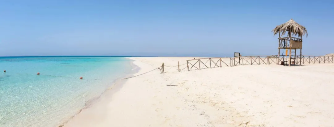 🌴✨ Paradise Island Trip from El Gouna 🏝️🌊 Paradise-trip-island/Screenshot_٢٠٢٦٠٧٠٢_١٩٥١٤٢_ChatGPT.jpg