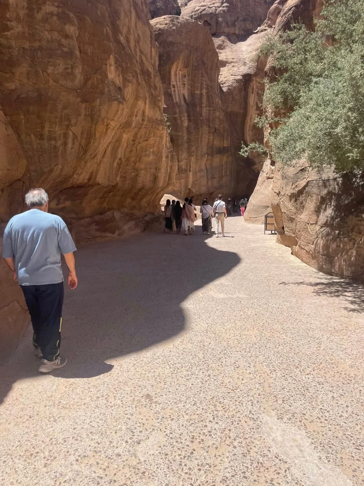 Petra tour trip Petra-tour-trip-from-Sharm-El-sheikh/IMG-20260630-WA0008.jpg