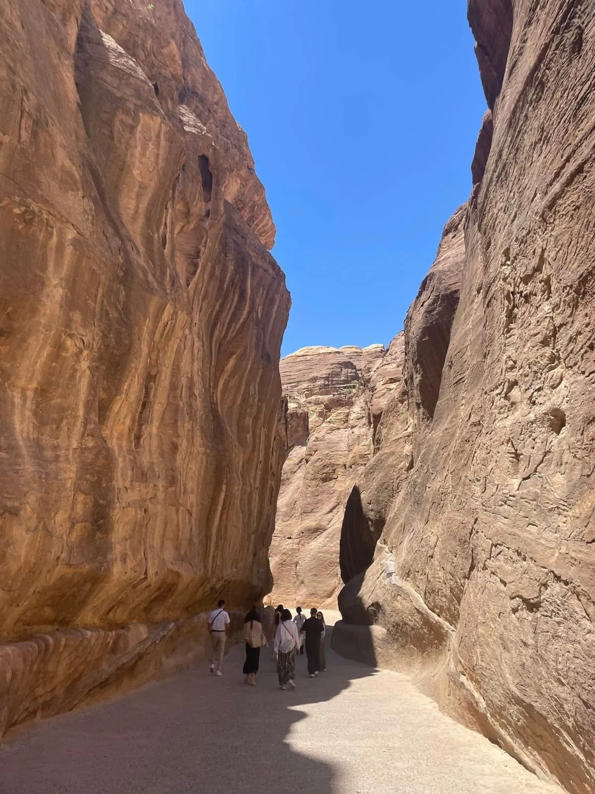 Petra tour trip Petra-tour-trip-from-Sharm-El-sheikh/IMG-20260630-WA0009.jpg