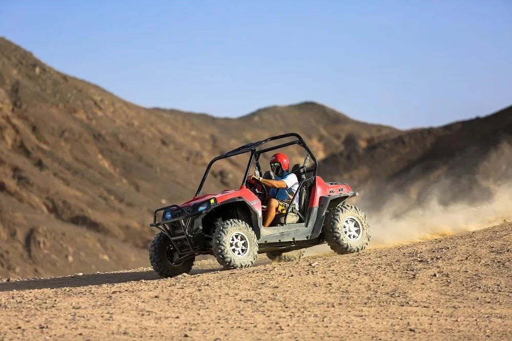 👑 Royal VIP Desert Safari