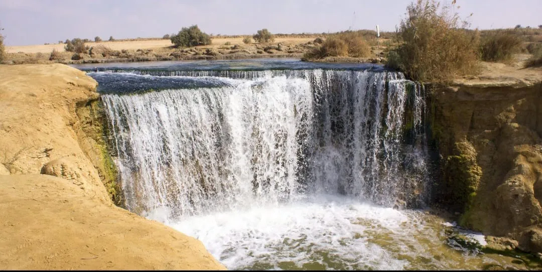 🌿🏜️ Fayoum Safari Adventure | Full-Day Desert Escape