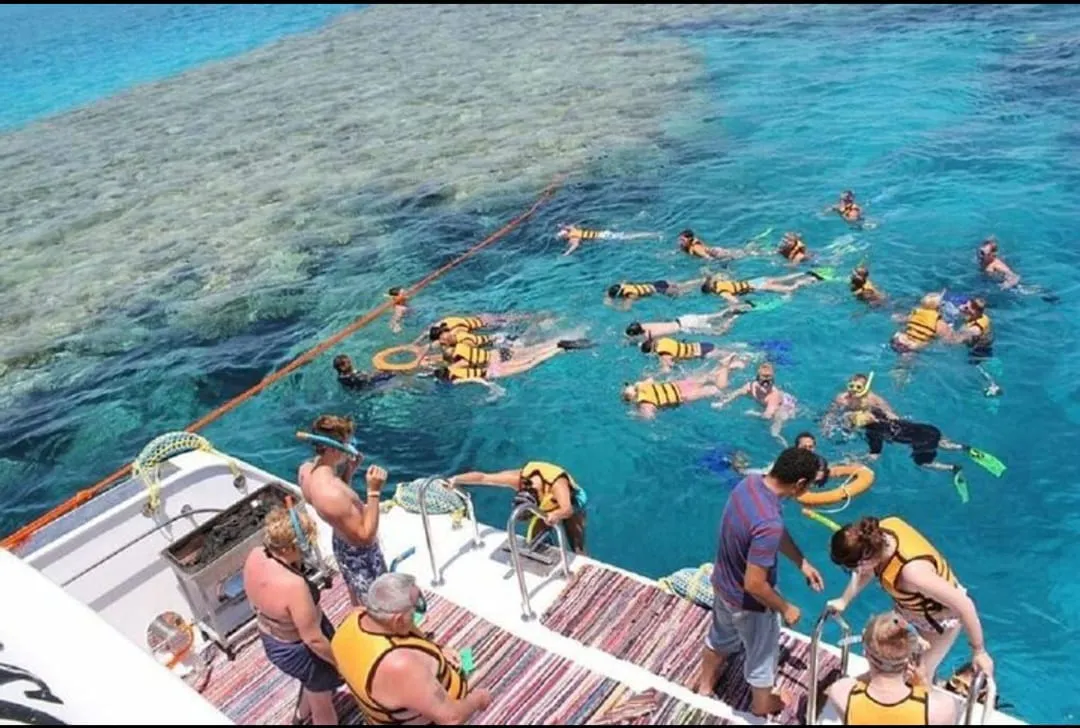 🚤 Sataya Elite Dolphin & Snorkeling VIP Sataya-Elite-Dolphin-Snorkeling/IMG-20260703-WA0061.jpg
