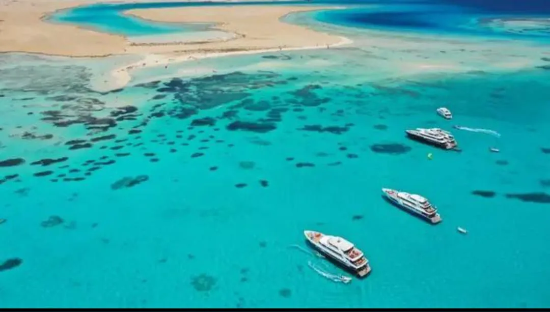 🚤 Sataya Elite Dolphin & Snorkeling VIP Sataya-Elite-Dolphin-Snorkeling/IMG-20260703-WA0070.jpg