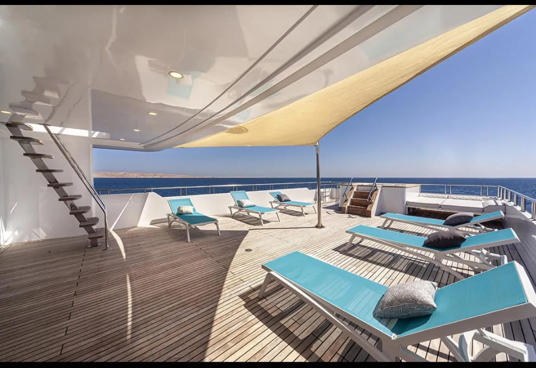 🚤 Sataya Elite Dolphin & Snorkeling VIP Sataya-Elite-Dolphin-Snorkeling/IMG-20260703-WA0072.jpg