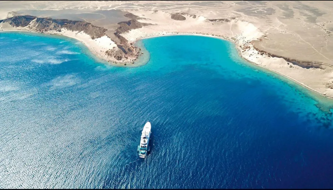 🚤 Sataya Elite Dolphin & Snorkeling VIP Sataya-Elite-Dolphin-Snorkeling/IMG-20260703-WA0073.jpg