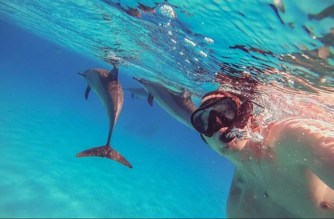 🚤 Sataya Elite Dolphin & Snorkeling VIP Sataya-Elite-Dolphin-Snorkeling/IMG-20260703-WA0075.jpg