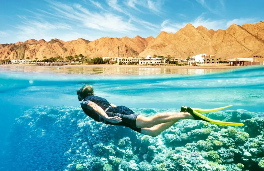 🚤 Sataya Elite Dolphin & Snorkeling VIP Sataya-Elite-Dolphin-Snorkeling/IMG-20260703-WA0076.jpg