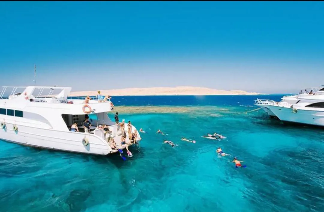🚤 Sataya Elite Dolphin & Snorkeling VIP Sataya-Elite-Dolphin-Snorkeling/IMG-20260703-WA0080.jpg