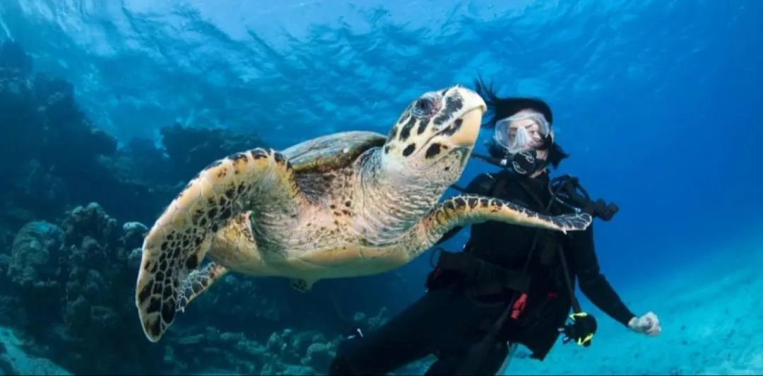 🤿 Discover Scuba Diving Experience Scuba-diving/IMG-20260703-WA0096.jpg