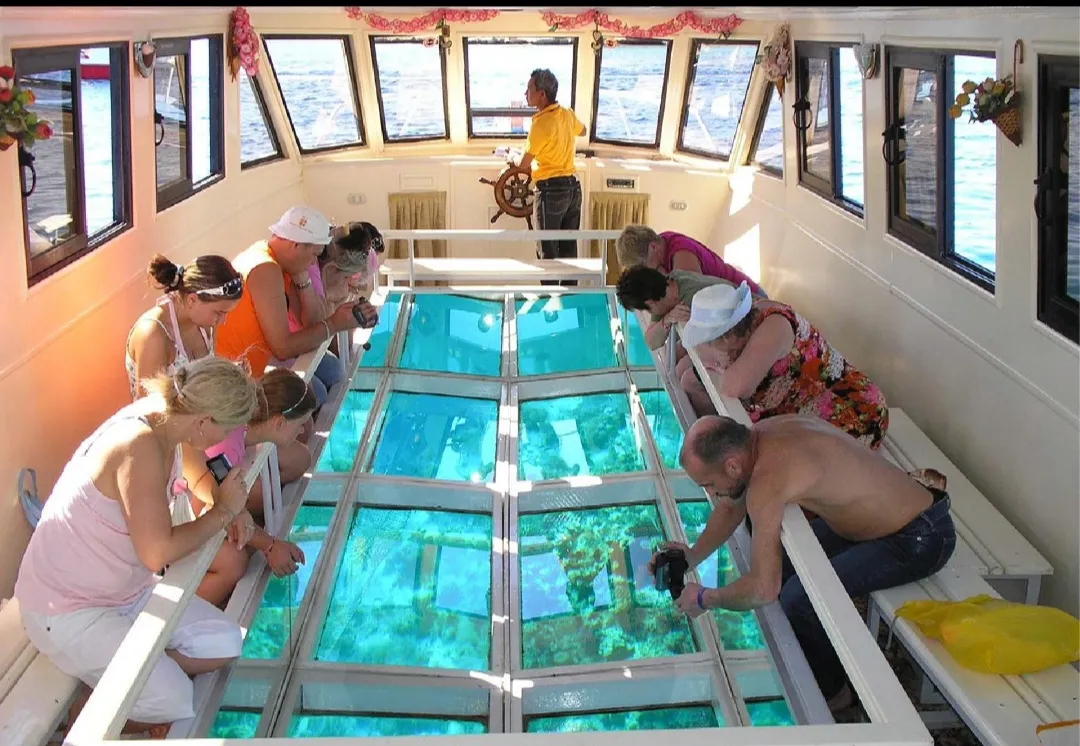 🌊🐠 Glass Bottom Boat Trip – El Gouna 🚤