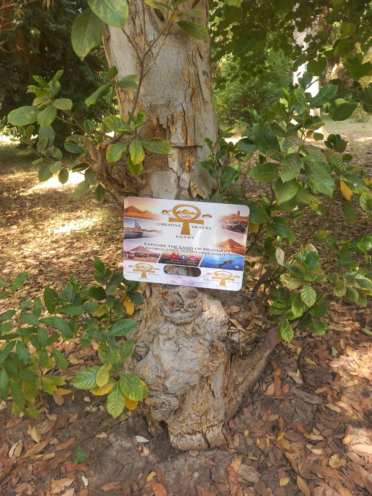 🌴🌊 Botanical Garden & Elephantine Island Tour – Aswan 🇪🇬 botanical-garden-elephantine-island-tour-aswan/IMG-20260915-WA0040.jpg