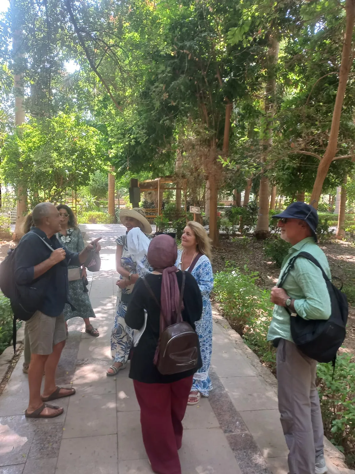 🌴🌊 Botanical Garden & Elephantine Island Tour – Aswan 🇪🇬 botanical-garden-elephantine-island-tour-aswan/IMG-20260915-WA0041.jpg