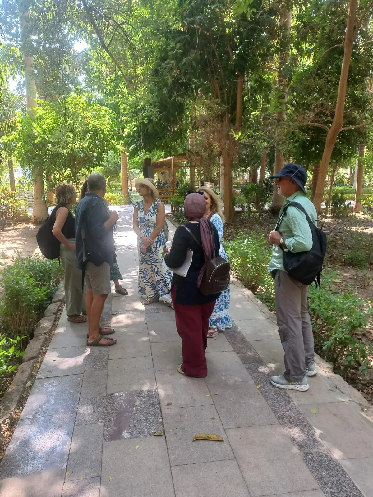 🌴🌊 Botanical Garden & Elephantine Island Tour – Aswan 🇪🇬 botanical-garden-elephantine-island-tour-aswan/IMG-20260915-WA0042.jpg