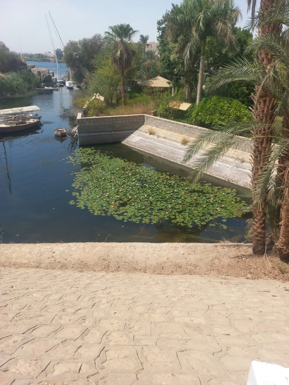 🌴🌊 Botanical Garden & Elephantine Island Tour – Aswan 🇪🇬 botanical-garden-elephantine-island-tour-aswan/IMG-20260915-WA0051.jpg