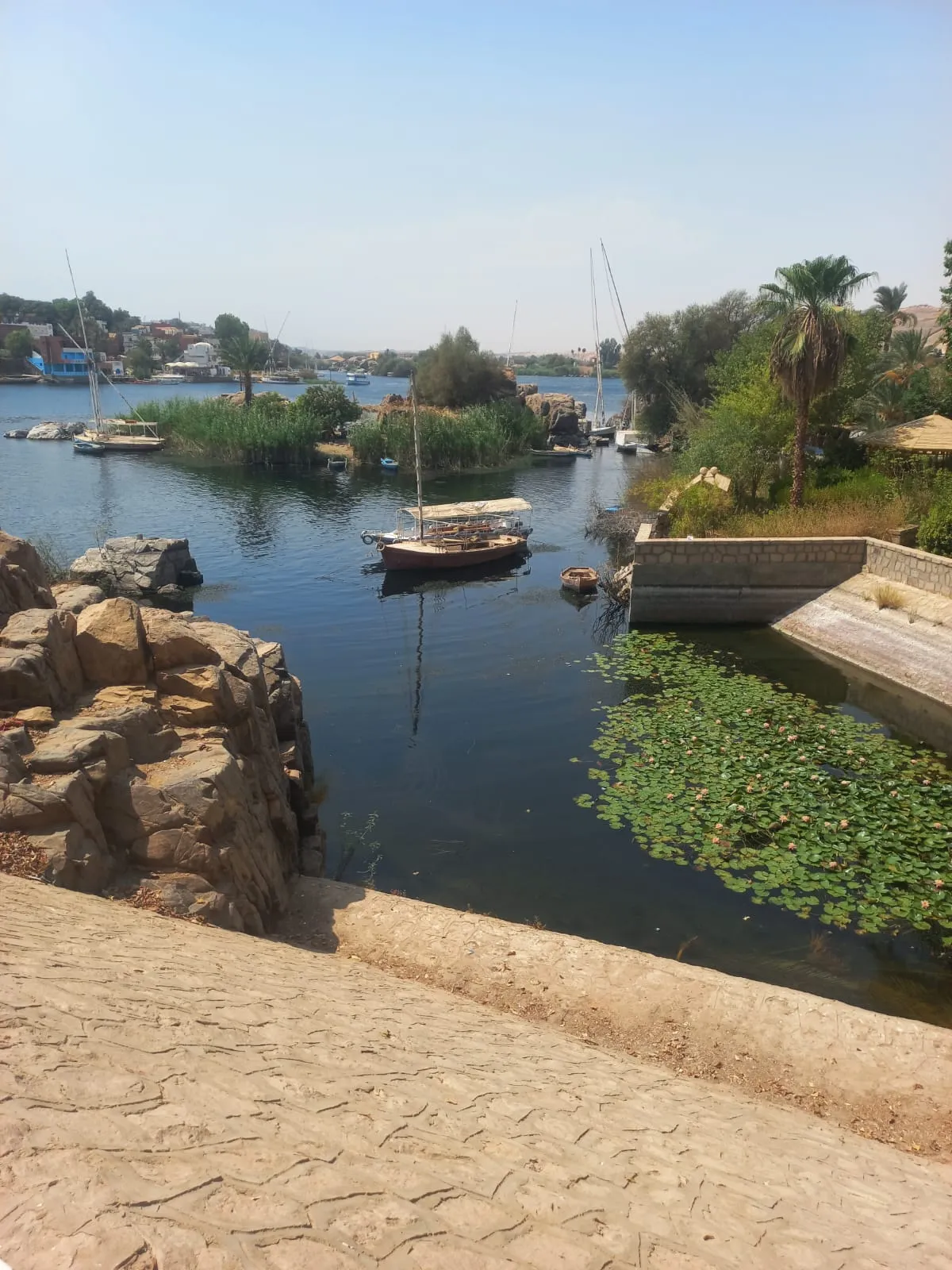 🌴🌊 Botanical Garden & Elephantine Island Tour – Aswan 🇪🇬 botanical-garden-elephantine-island-tour-aswan/IMG-20260915-WA0054.jpg