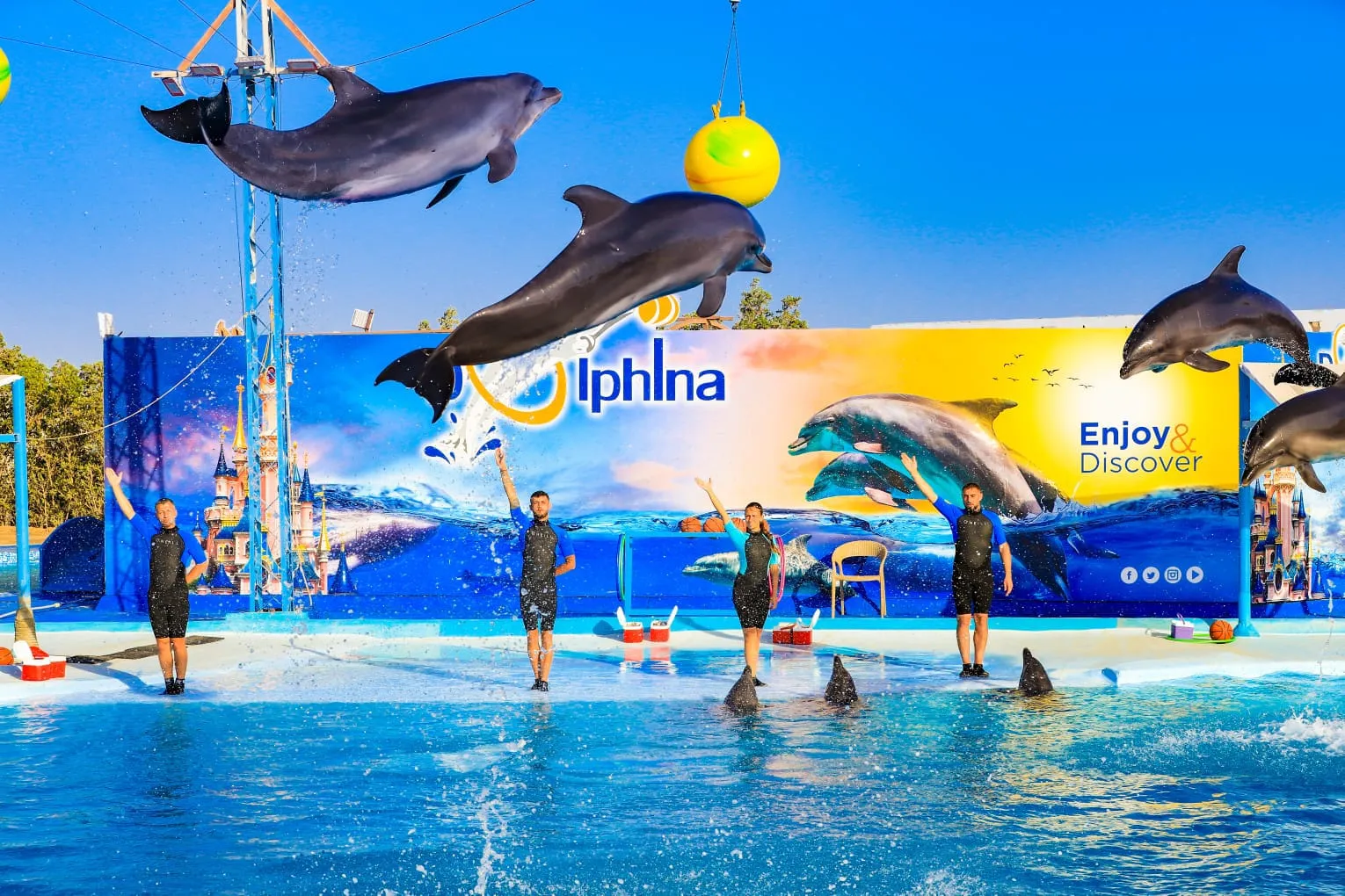 🐬 Delfinshow – Nur Show – Hurghada