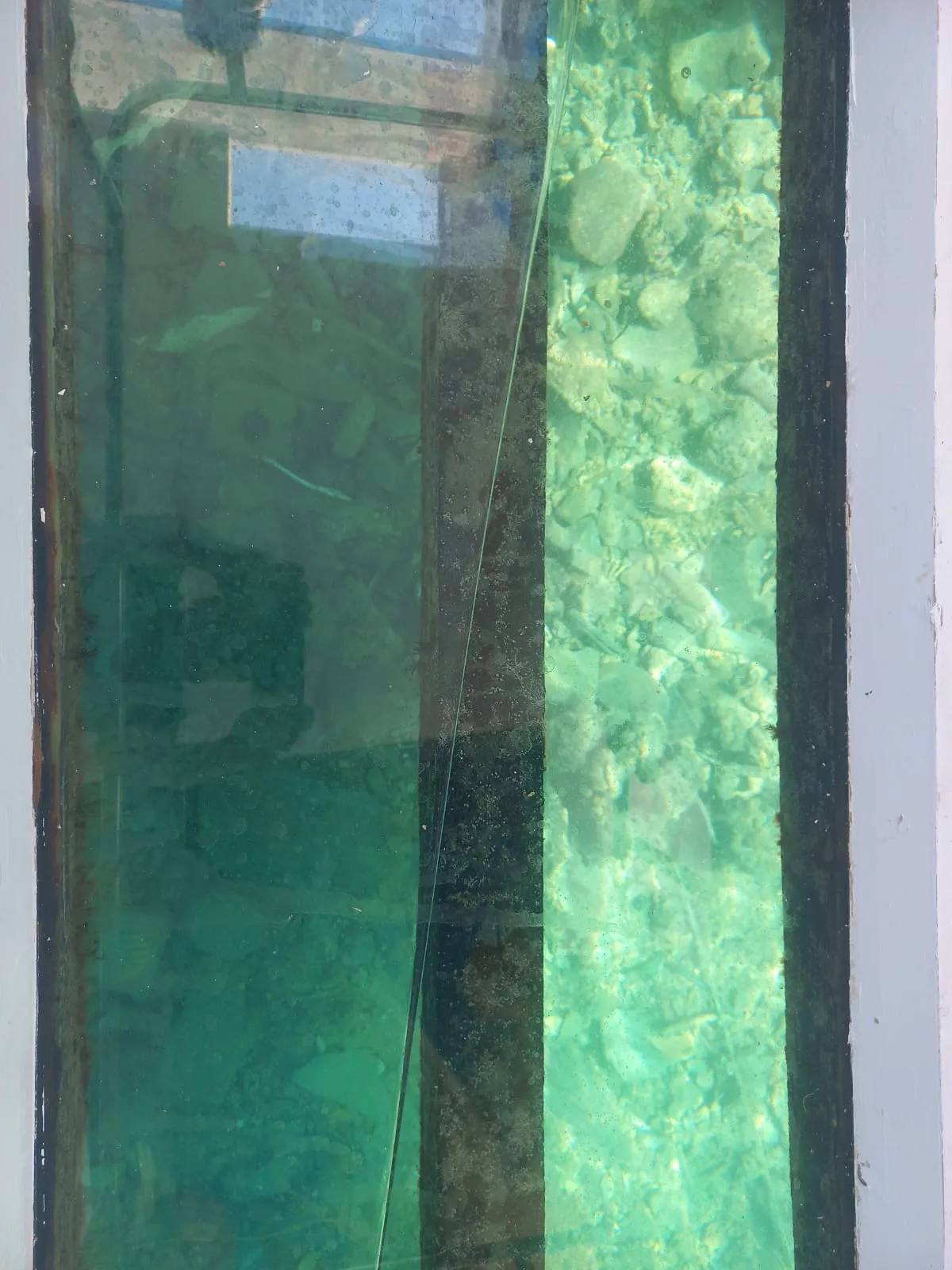 🚤 Glasbodenboot-Ausflug – Hurghada glass-boat-trip-hurghada/IMG-20260802-WA0090.jpg