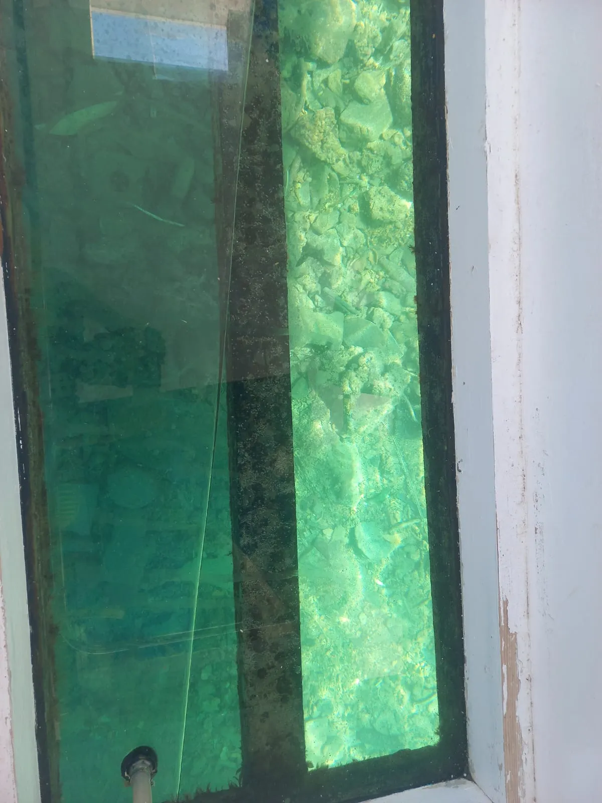 🚤 Glasbodenboot-Ausflug – Hurghada glass-boat-trip-hurghada/IMG-20260802-WA0092.jpg