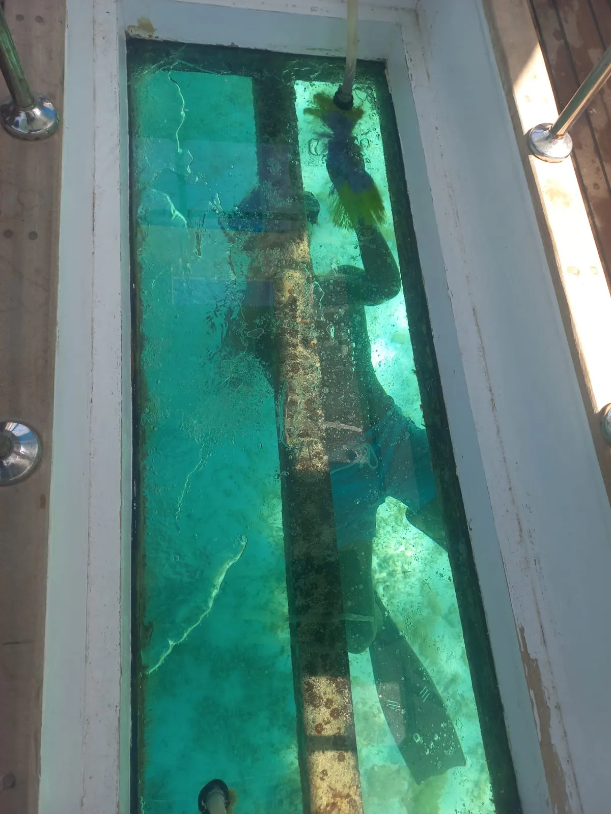 🚤 Glasbodenboot-Ausflug – Hurghada glass-boat-trip-hurghada/IMG-20260802-WA0102.jpg