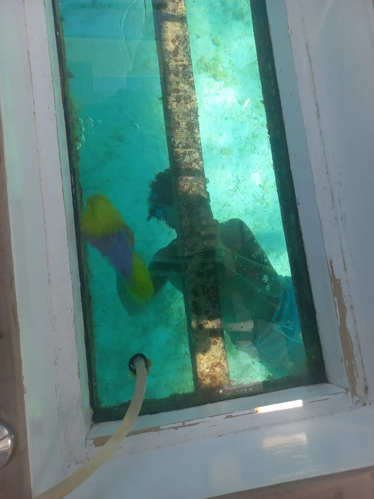 🚤 Glasbodenboot-Ausflug – Hurghada glass-boat-trip-hurghada/IMG-20260802-WA0104.jpg