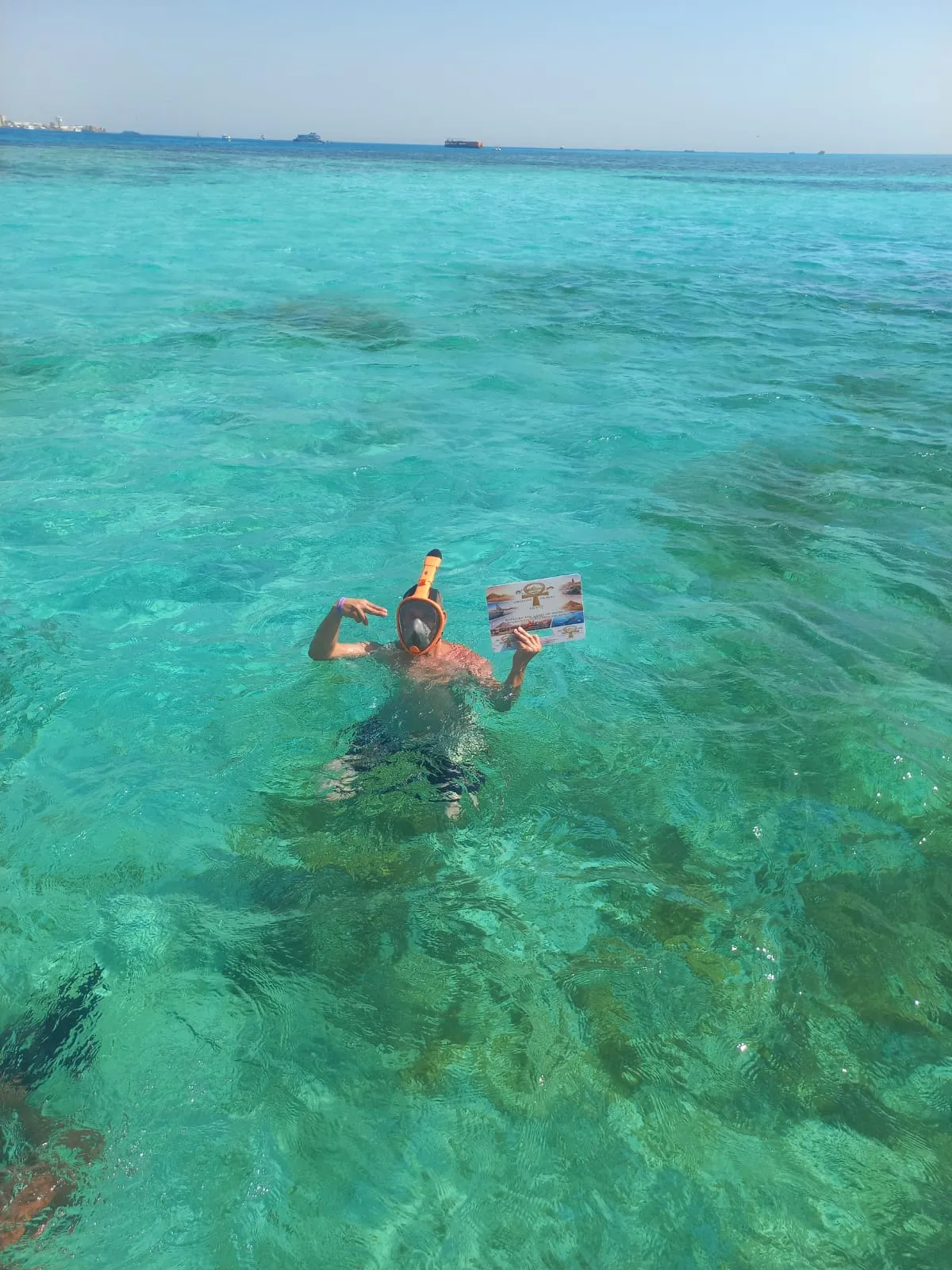 🚤 Glasbodenboot-Ausflug – Hurghada glass-boat-trip-hurghada/IMG-20260802-WA0107.jpg