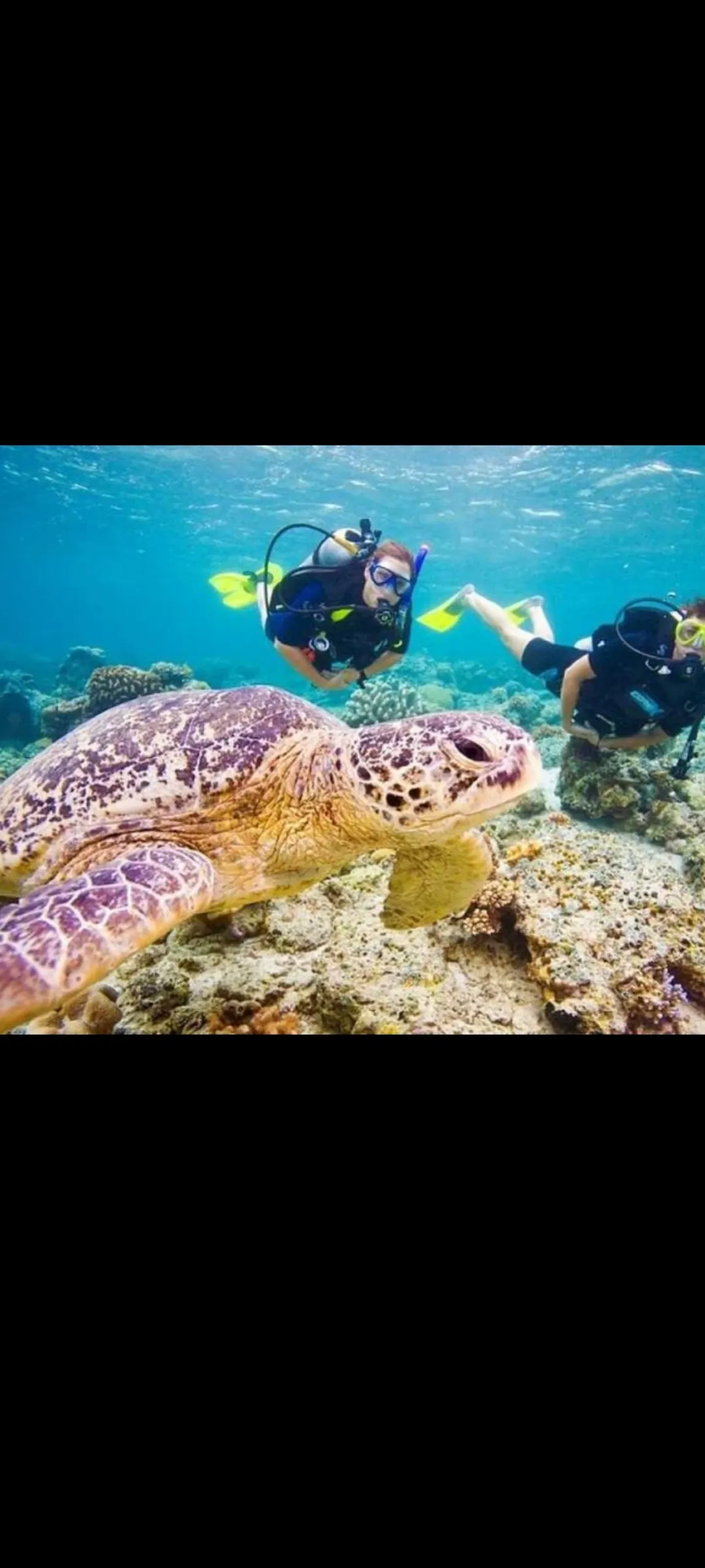 🤿 Приключение сноркелинга – Хургада snorkeling-adventure-trip-hurghada/Screenshot_2025-07-09-02-03-04-207_com_miui_gallery.jpg