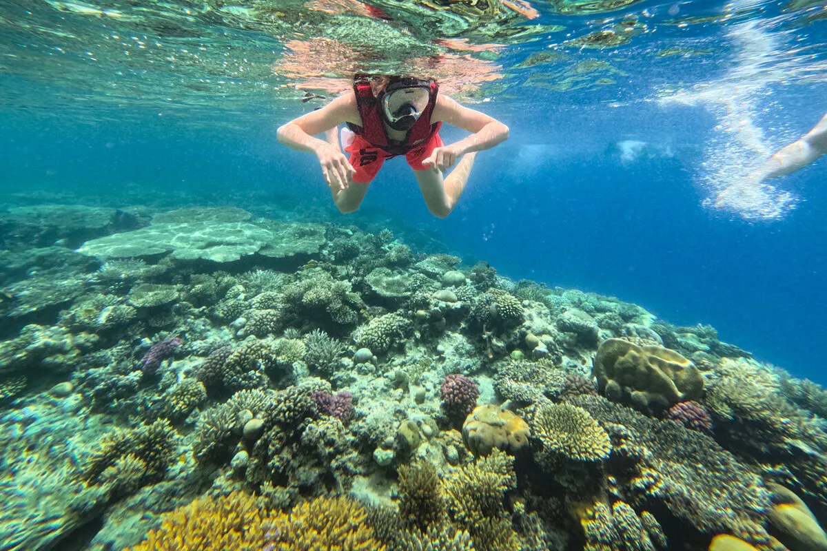 🤿 Приключение сноркелинга – Хургада snorkeling-adventure-trip-hurghada/nage-masque-tuba.jpg